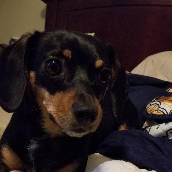 Meet your Posher, Jennifer - Picture 1 of 1